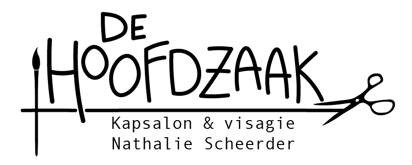 DE HOOFDZAAK ZUTPHEN Logo